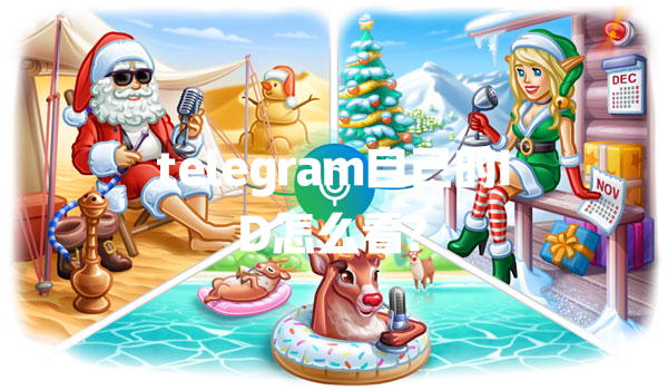 telegram自己的ID怎么看? 一