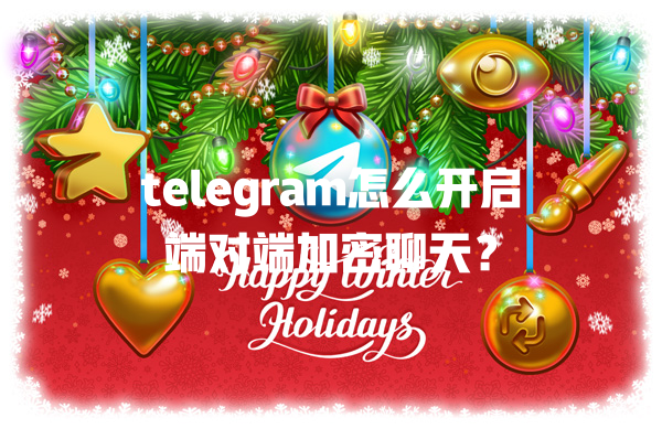 telegram怎么开启端对端加密聊天? 二