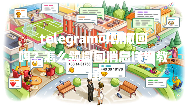 telegram可以撤回吗?怎么领撤回消息详细教程 一